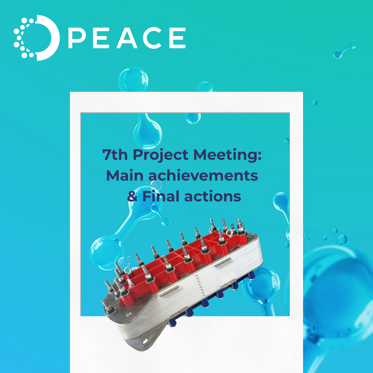7th PEACE Project Meeting